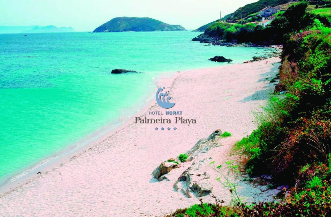 Norat Palmeira Playa